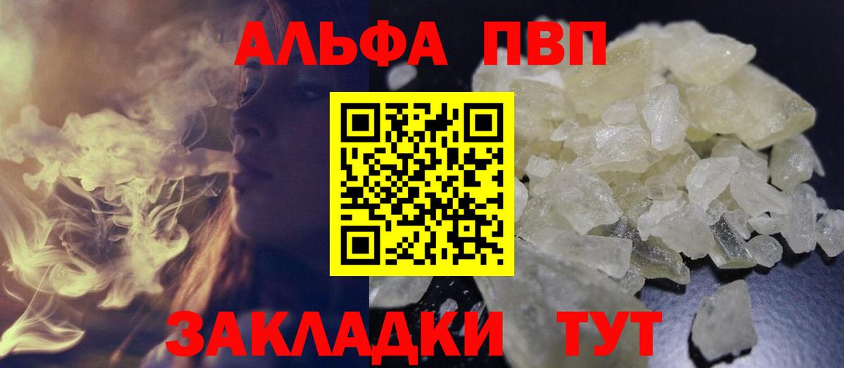 Альфа ПВП СК КРИС Курчалой