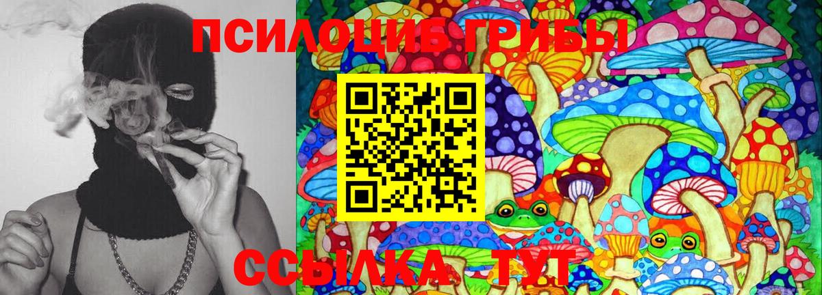 Курчалой  Галлюциногенные грибы Magic Shrooms  Вход с VPN  Галлюциногенные грибы Psilocybe 