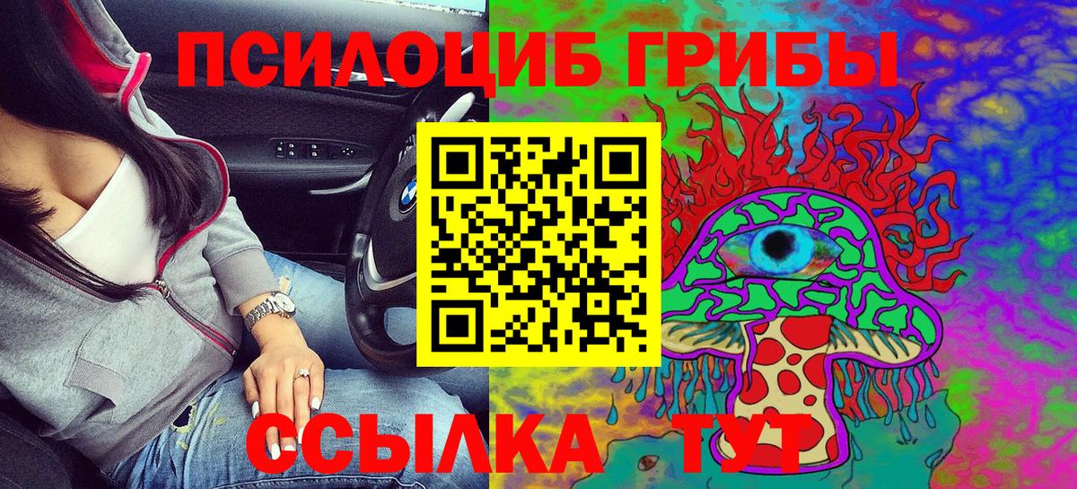 Галлюциногенные грибы MAGIC MUSHROOMS Курчалой